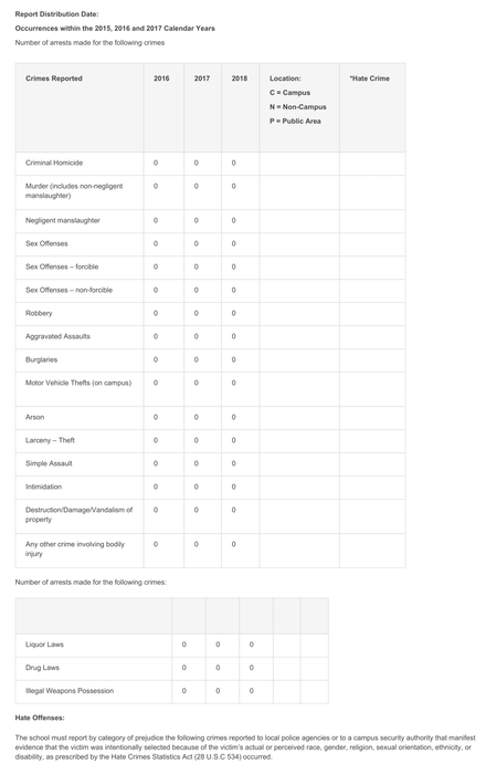 security report