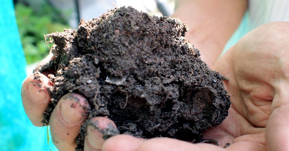 Why is Biochar Good for the Environment?