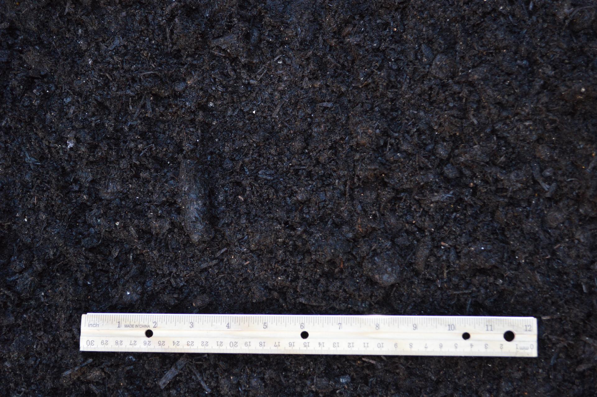 Mushroom soil